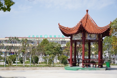 心理辅导16