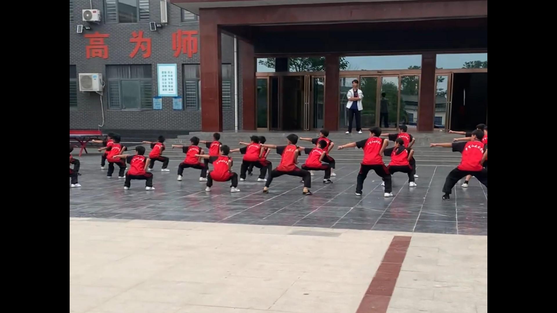 散打套路武术特训